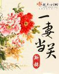 一妻三夫免费阅读